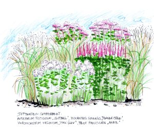 Duftendes Sommerbeet