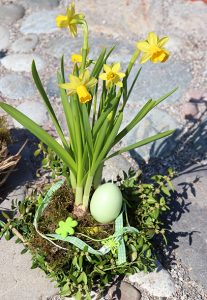 Nest-Florian