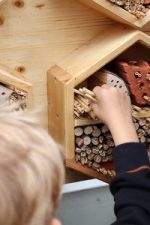 Insektenhotel wird gefüllt