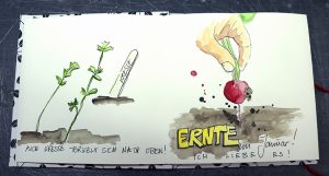 02Ernte-im-Januar