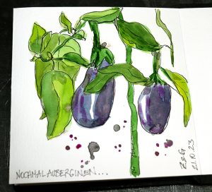 03Auberginen