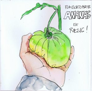 Ananas-Sep-web