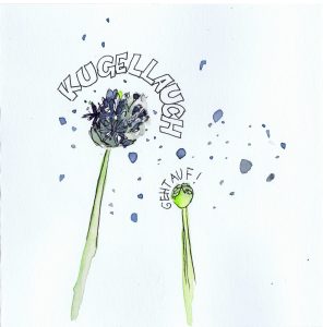 Kugellauch-web