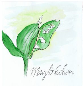 Maiglöckchen-web