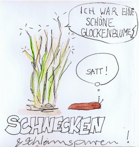 Schnecke-web
